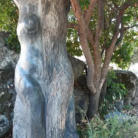 Quinta Coa Rupestre * Vila Nova de Foz Cõa
