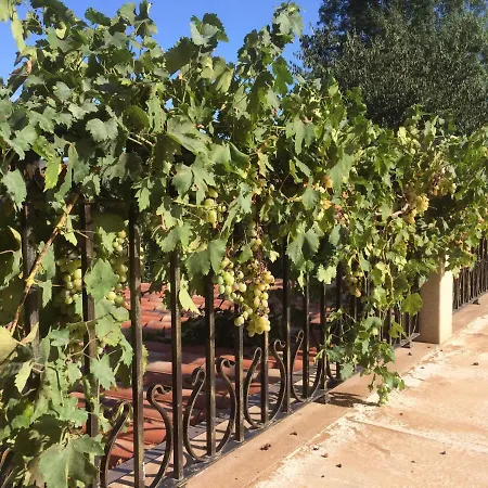 Quinta Coa Rupestre Vila Nova de Foz Cõa